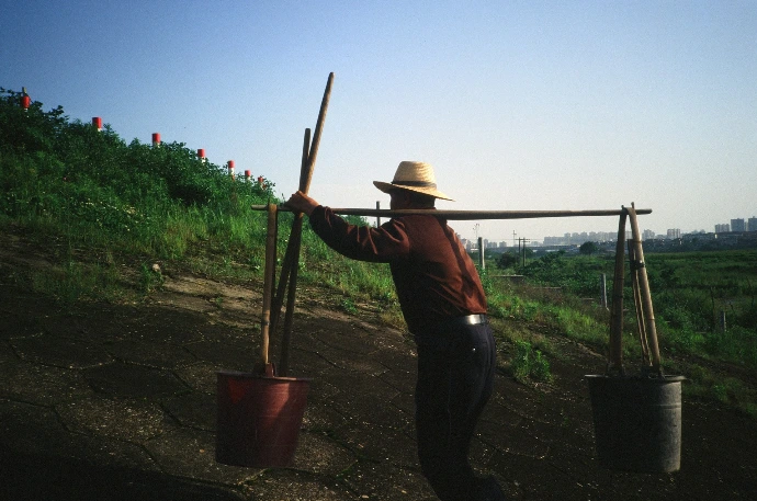 Man carrying plants on a pole over his shoulder